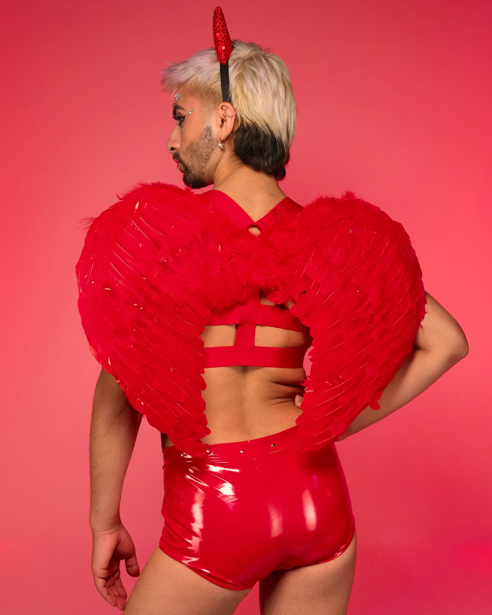 Red Feather Wings - Image 3