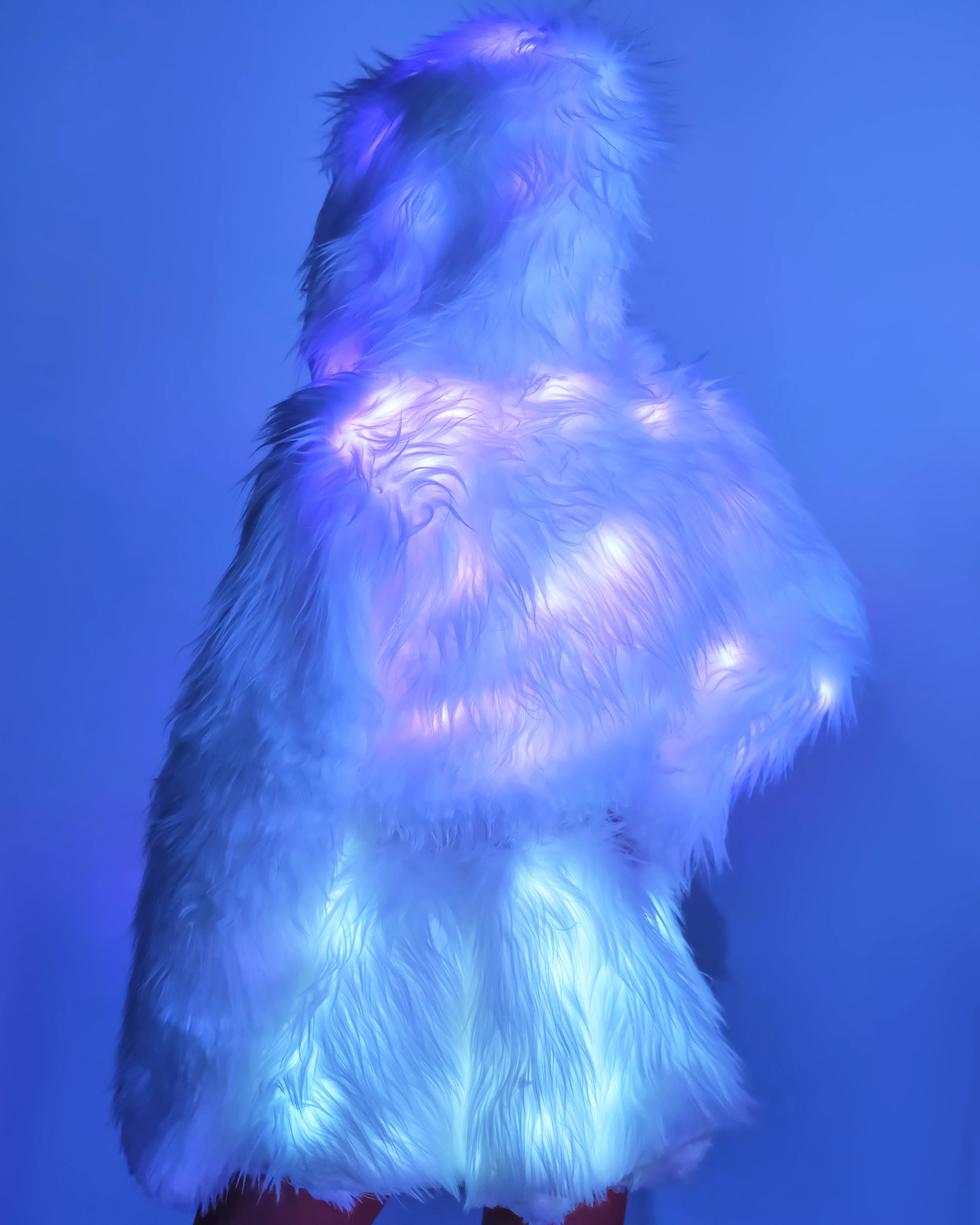 Lavender LED White Furry Cropped Hooded Jacket - Image 3